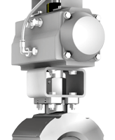 sector ball valve